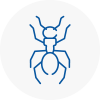 Ant Removals In Clapham Common