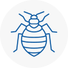 Bed Bug Extermination In Clapham Common
