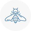 Bee Nest Removal Clapham Common