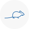 Mice Exterminators In Clapham Common