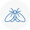 Moth Control Specialists In Clapham Common