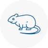 Rat Control Clapham Common