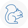 Clapham Common Rodent Removals